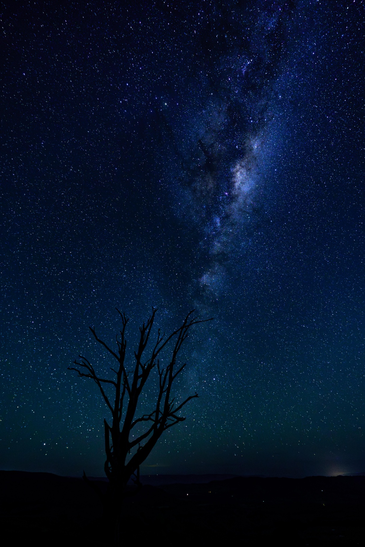 A night under Hang's Tree